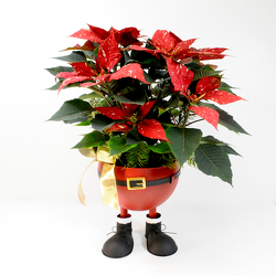 Harper's Heart from Hafner Florist in Sylvania, OH