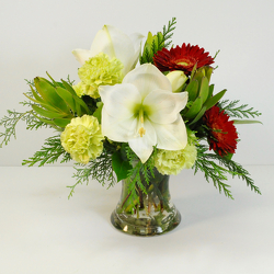 Classic Color Trio from Hafner Florist in Sylvania, OH