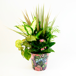 Monet's Garden from Hafner Florist in Sylvania, OH