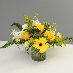 Sunny Delight from Hafner Florist in Sylvania, OH