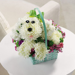 Precious Puppy from Hafner Florist in Sylvania, OH