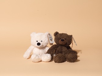 Small Bear Plushes from Hafner Florist in Sylvania, OH