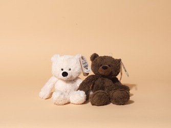Small Bear Plushes from Hafner Florist in Sylvania, OH