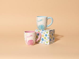 New Baby Mugs from Hafner Florist in Sylvania, OH