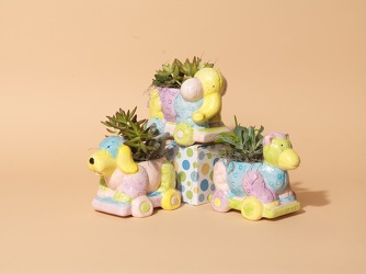 Carousel Planters from Hafner Florist in Sylvania, OH