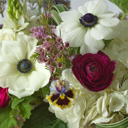 Northview Choir Booster Flower Subscription from Hafner Florist in Sylvania, OH