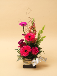 Celebrate from Hafner Florist in Sylvania, OH