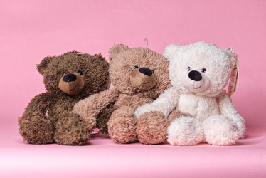 Three Little Bears from Hafner Florist in Sylvania, OH