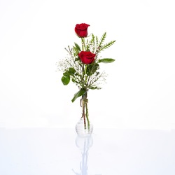 Two Rose Bud Vase from Hafner Florist in Sylvania, OH
