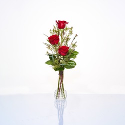 Three Rose Bud Vase from Hafner Florist in Sylvania, OH