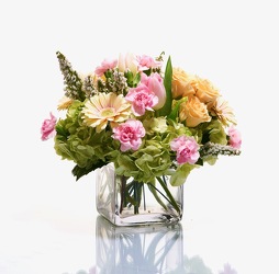 Softness from Hafner Florist in Sylvania, OH