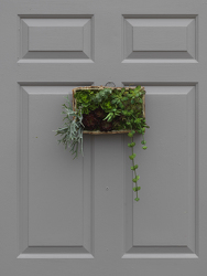 Succulent Box Wall Hanging Wreath from Hafner Florist in Sylvania, OH