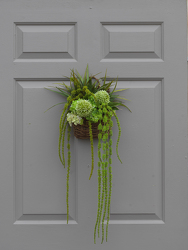 Allium Amaranth Wall Basket from Hafner Florist in Sylvania, OH