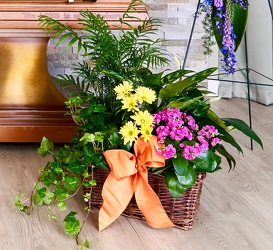 Celebration of Life Planter from Hafner Florist in Sylvania, OH