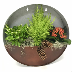 Holiday Wall Planter from Hafner Florist in Sylvania, OH