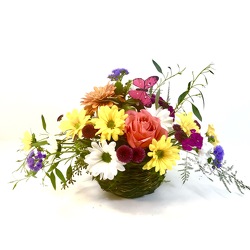 Vibrant Summer from Hafner Florist in Sylvania, OH