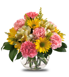 Thoughtful from Hafner Florist in Sylvania, OH