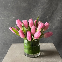 Tulips from Hafner Florist in Sylvania, OH