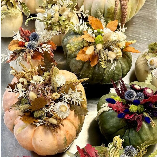 Heirloom Pumpkin