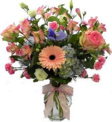 Love & Romance from Hafner Florist in Sylvania, OH