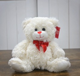 White Plush Bear from Hafner Florist in Sylvania, OH