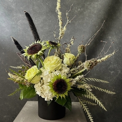 Witching Hour from Hafner Florist in Sylvania, OH