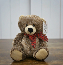 Plush Brown Bear from Hafner Florist in Sylvania, OH