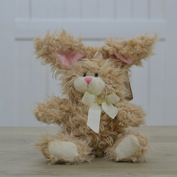 Tan Plush Bunny from Hafner Florist in Sylvania, OH