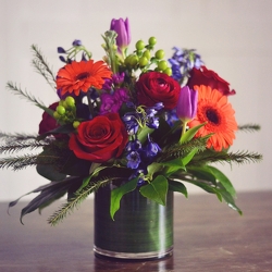 Designer's Choice - Jewel tones from Hafner Florist in Sylvania, OH