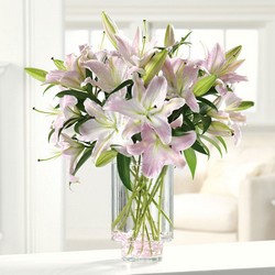 Ooh-la-la Lilies from Hafner Florist in Sylvania, OH