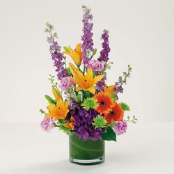 The Best Medicine from Hafner Florist in Sylvania, OH