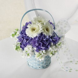 Baby Blue Basket from Hafner Florist in Sylvania, OH