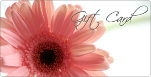 Hafner Florist Gift Card from Hafner Florist in Sylvania, OH